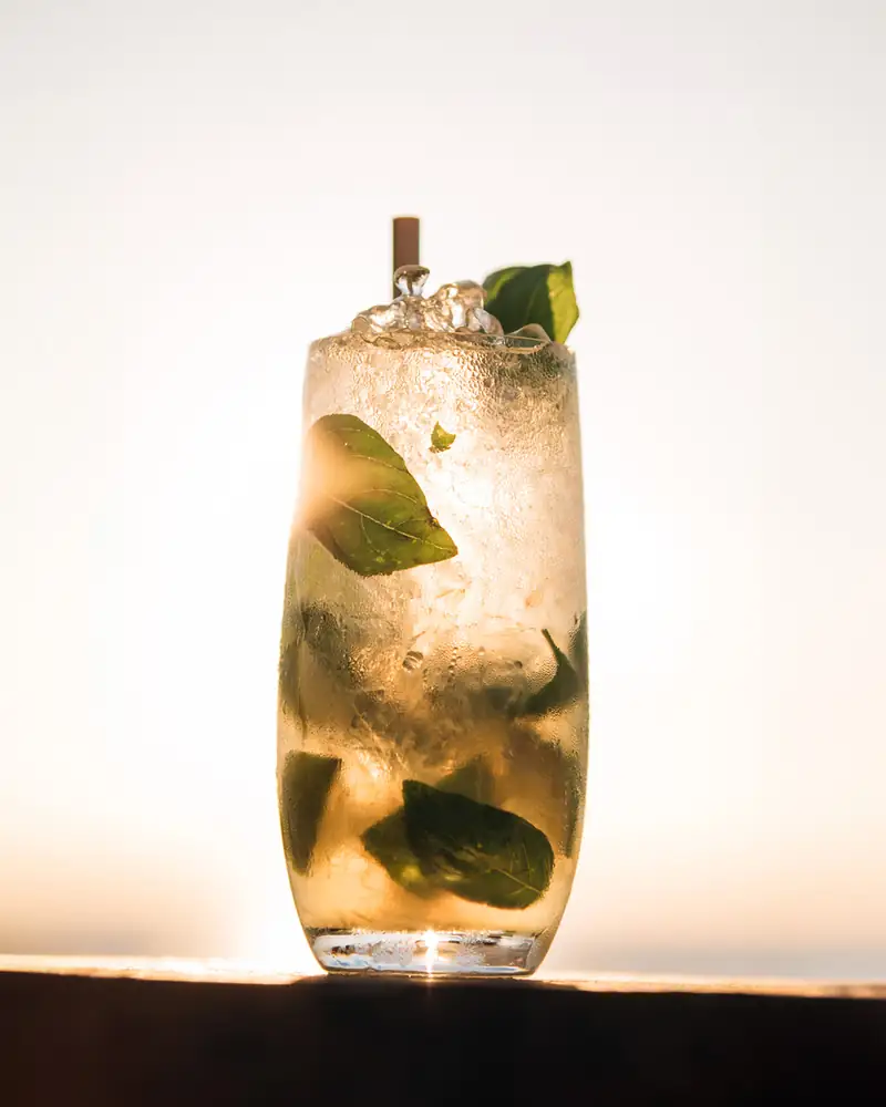 A tall cocktail with mint and ice against the evening sun
